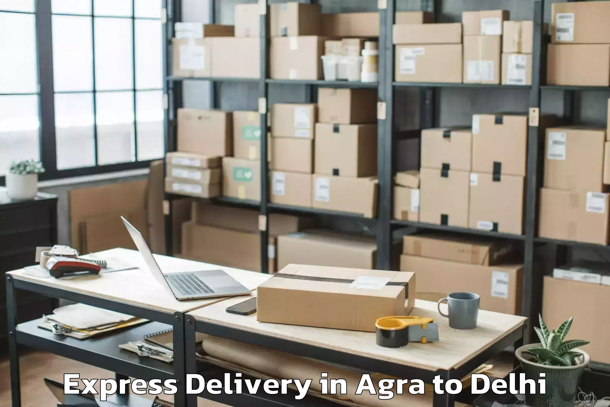 Professional Agra to Naraina Industrial Estate Express Delivery